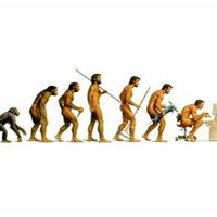 Портфолио patrick nelson